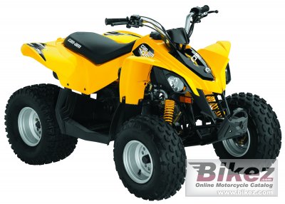 2010 Can-Am DS 90