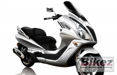2014 CF Moto Jetmax 250 rated