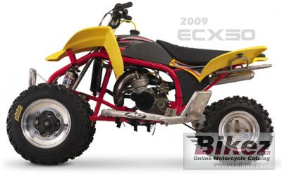 2010 Cobra ECX50