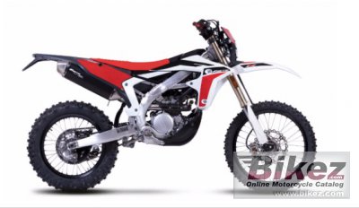 2021 Fantic XEF 250  rated