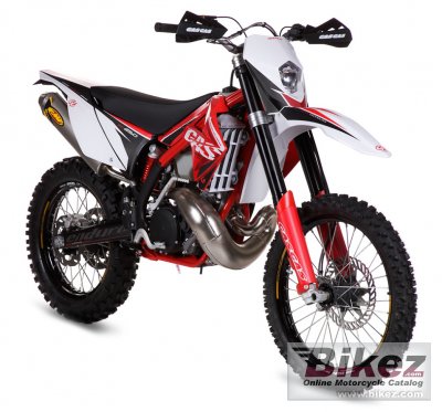 2011 GAS GAS EC 300 2T E rated
