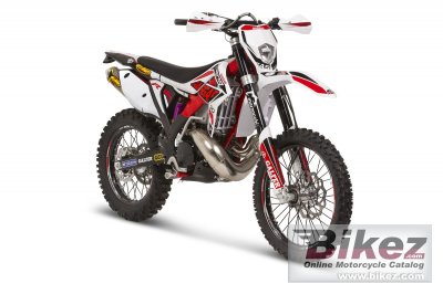 2014 GAS GAS EC 250E rated
