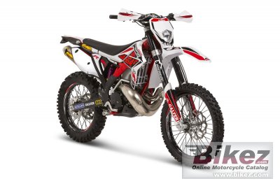 2014 GAS GAS EC Racing 300E rated