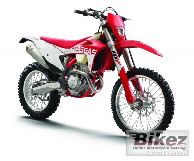 2021 GAS GAS EC 350F rated