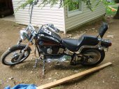 1992 Harley-Davidson FXSTC 1340 Softail Custom