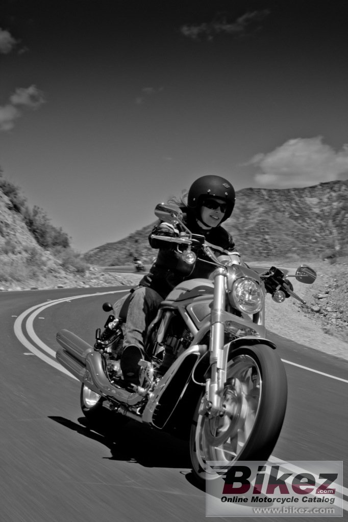 Harley-Davidson VRSCDX V-Rod 10th Anniversary