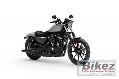 2020 Harley-Davidson Iron 883 rated