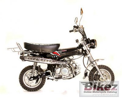 2012 Pitster Pro Classic  Pro 125