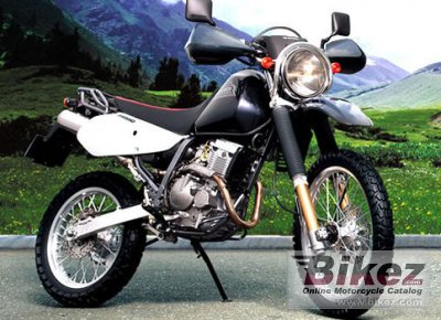 2008 Suzuki Djebel 250XC rated