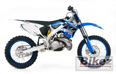 2012 TM Racing MX 300