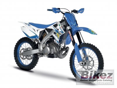 2017 TM Racing MX 300 rated