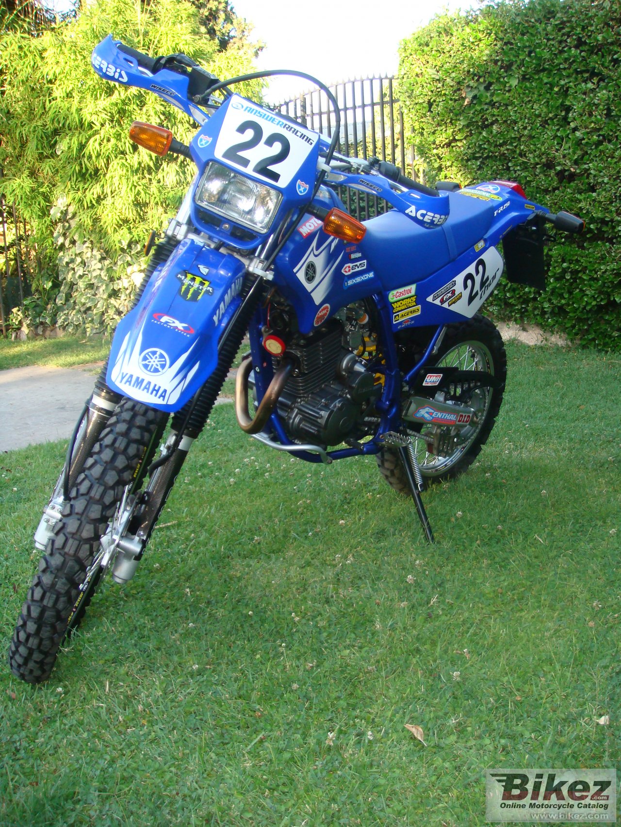 Yamaha TTR250