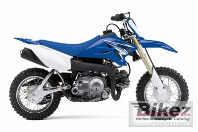 2010 Yamaha TT-R50E