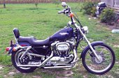 1999 Harley-Davidson Sportster 1200 Custom