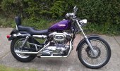 2000 Harley-Davidson XL 1200 C Sportster Custom