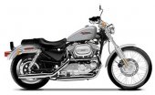 2001 Harley-Davidson Sportster 1200 Custom