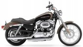 2004 Harley-Davidson XL 1200 C Sportster Custom