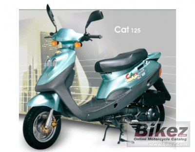 2008 Adly Cat 125 S