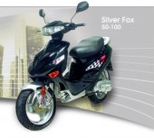 2010 Adly SF-100 Silver Fox