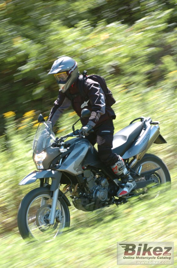 2006 Aprilia Pegaso 650 Trail