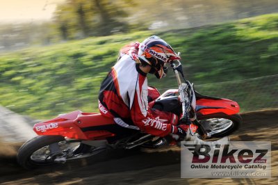 2009 Aprilia MXV 4.5