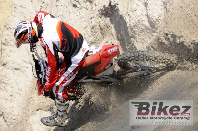 2009 Aprilia MXV 4.5