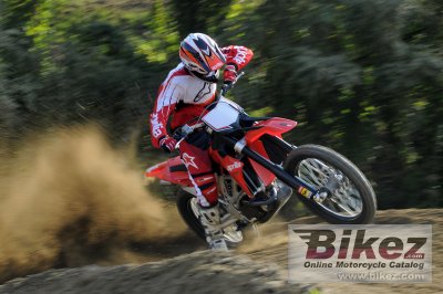 2009 Aprilia MXV 4.5