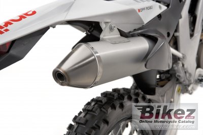 2009 Aprilia RXV550