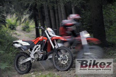 2009 Aprilia RXV550