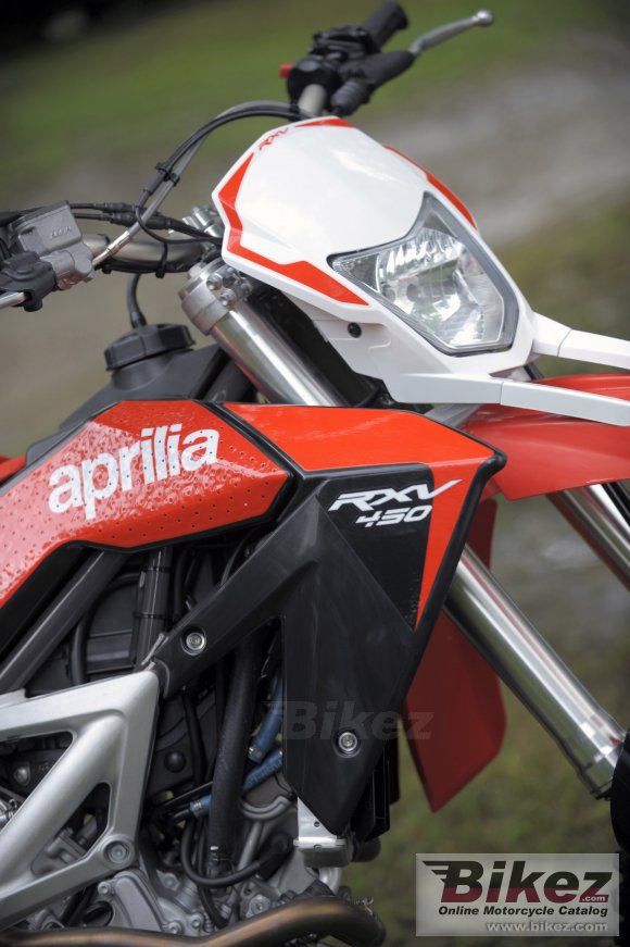 2009 Aprilia RXV550