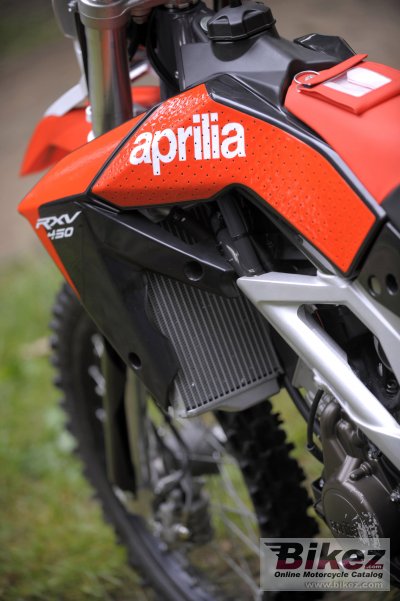 2009 Aprilia RXV550
