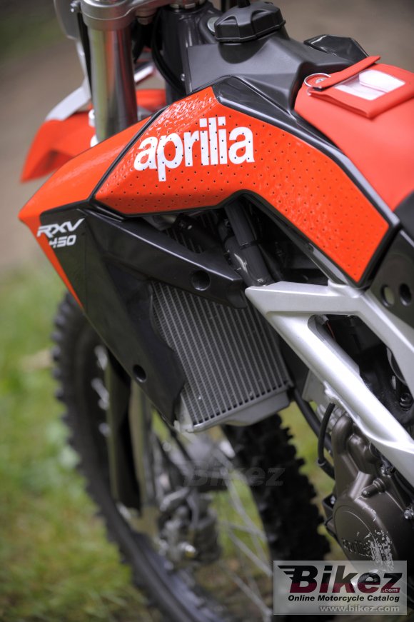 2009 Aprilia RXV550