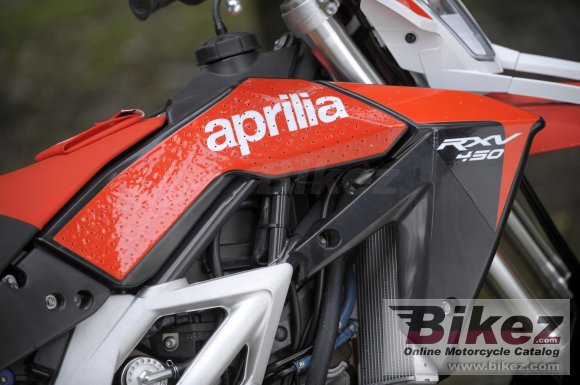 2009 Aprilia RXV550