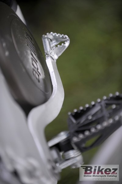 2009 Aprilia RXV550