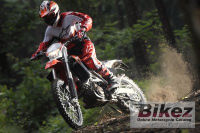 2009 Aprilia RXV550