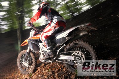 2009 Aprilia RXV550