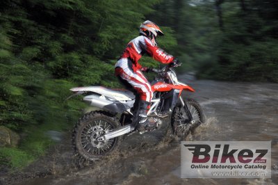 2009 Aprilia RXV550