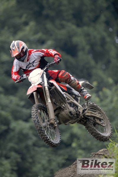 2009 Aprilia RXV550