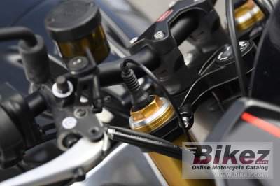 2019 Aprilia Tuono V4 1100 Factory