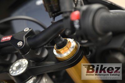 2019 Aprilia Tuono V4 1100 Factory