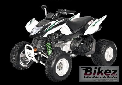 Arctic Cat 300 DVX