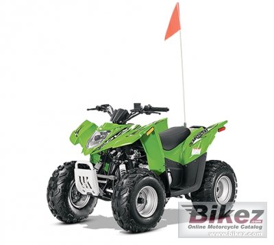 Arctic Cat DVX 90