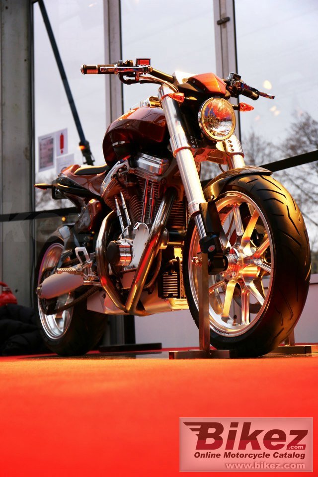 Avinton Deluxe