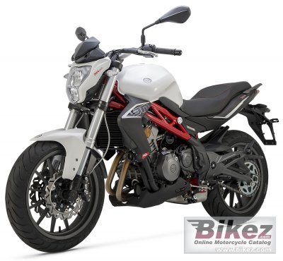 2017 Benelli BN 302