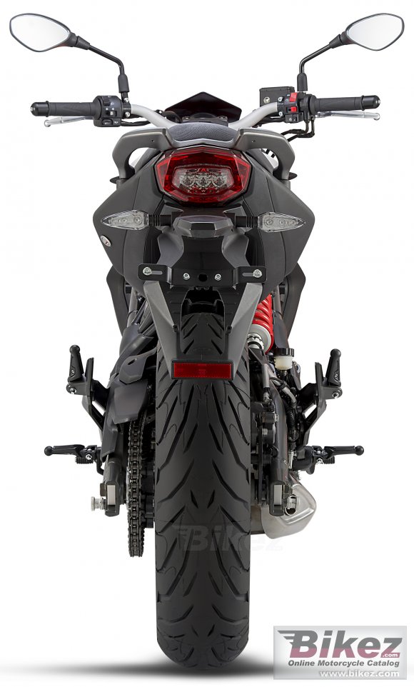 2017 Benelli BN 302