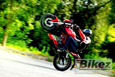 2017 Benelli TNT 25