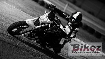 2017 Benelli TNT 25