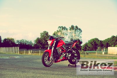 2017 Benelli TNT 25