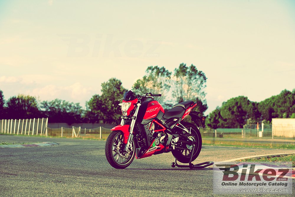 Benelli TNT 25