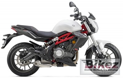 2018 Benelli BN 302